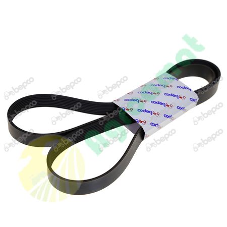 RIBBED BELT 8 PK x 1870