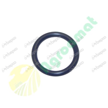'o' ring 