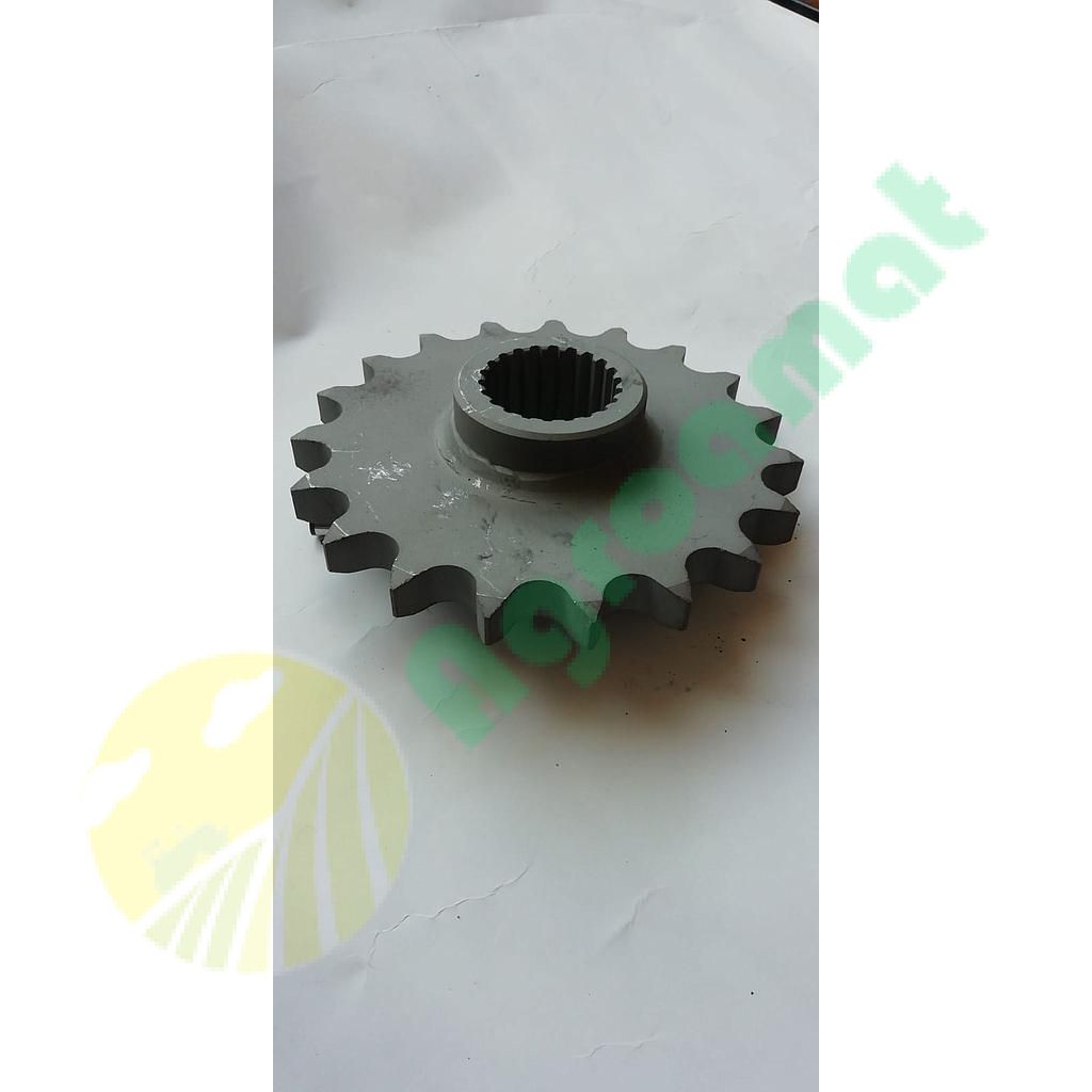 Pinion Z-19