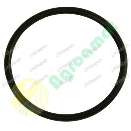 O RING 