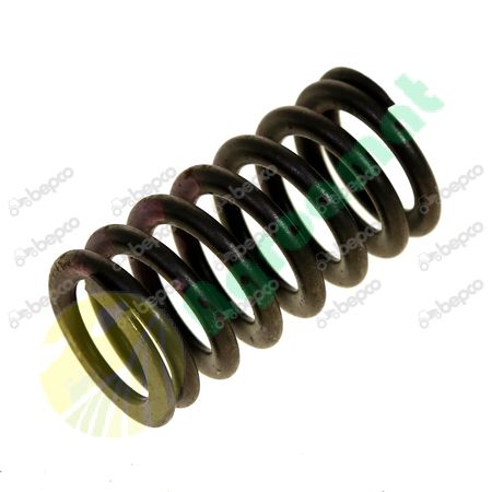 VALVE SPRING 