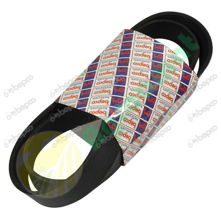 RIBBED BELT 10 PK x 1445