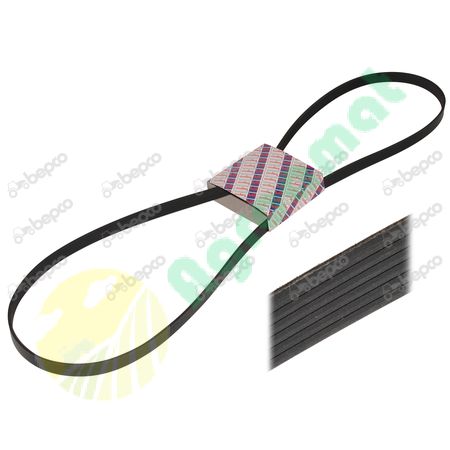 RIBBED BELT 8 PK x 1956