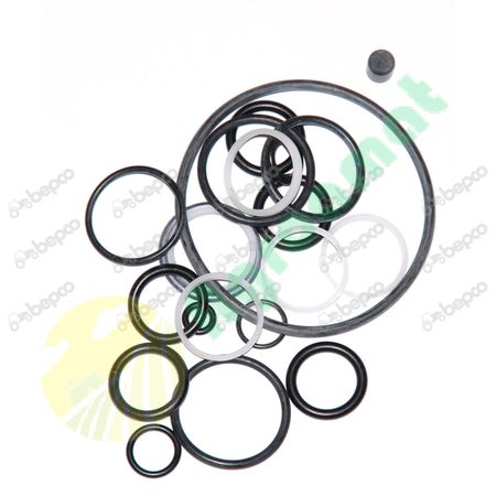 SEALS AND GASKET KIT 