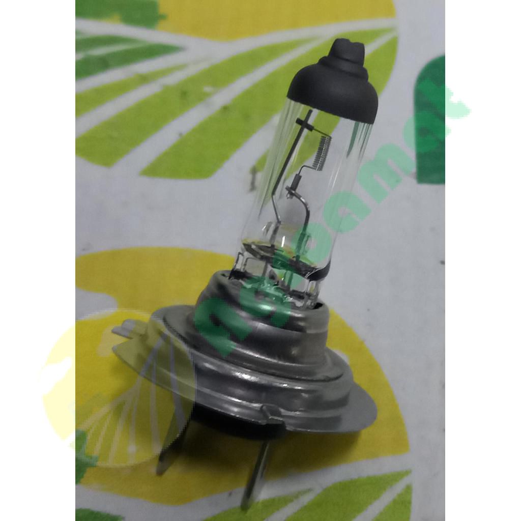 Bec H7 12V/55W PX26D