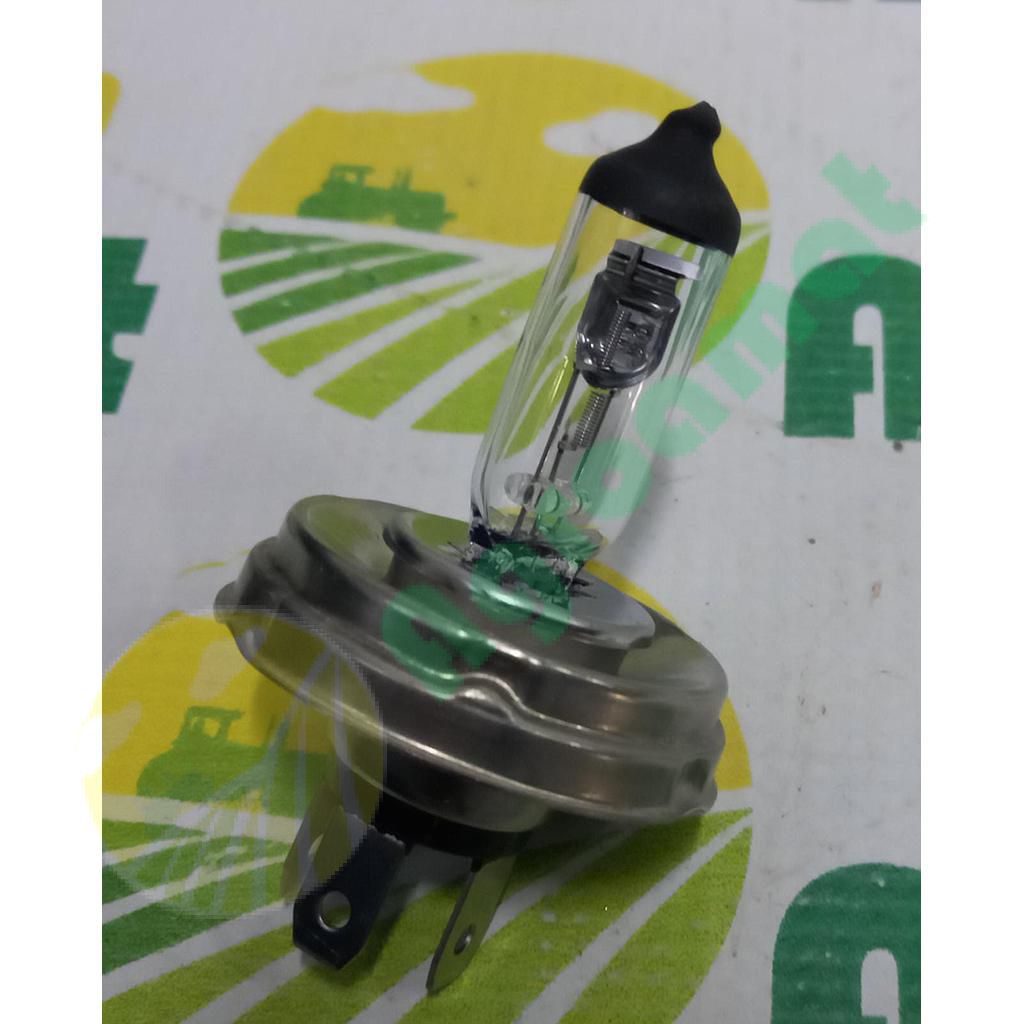 Bec H4 12V 55/60W P45