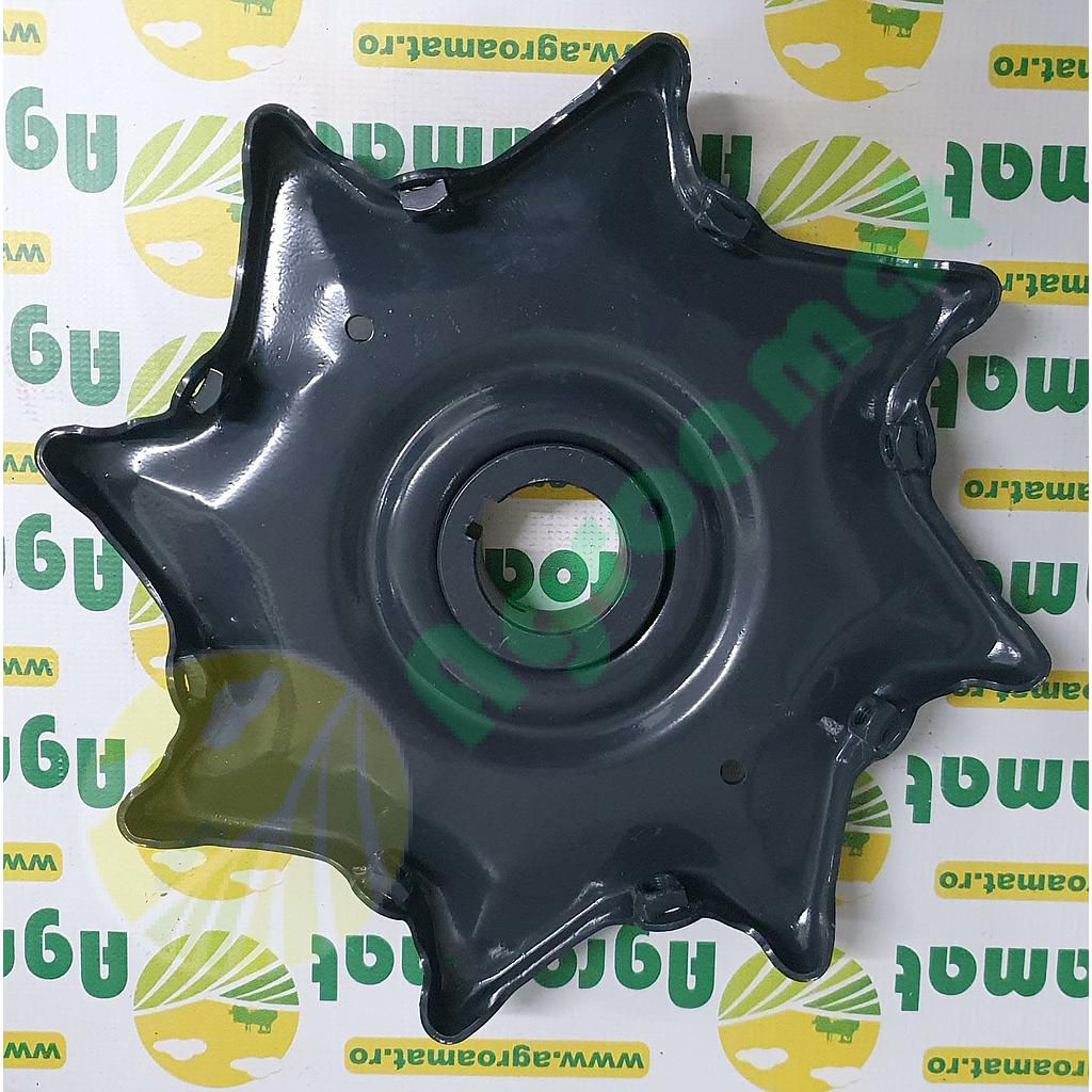 Steluta Batator 634977