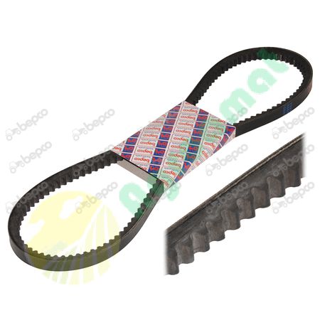 V-BELT AVX10 - 975 La