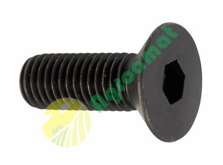 Surub cu Cap Inecat si Locas Inbus M10X50