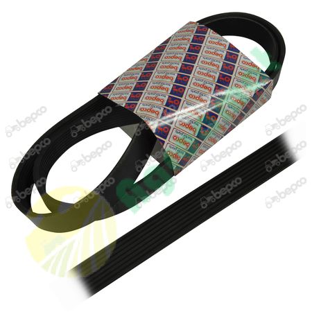 RIBBED BELT 8 PK x 1550