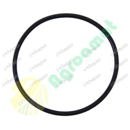 O RING 
