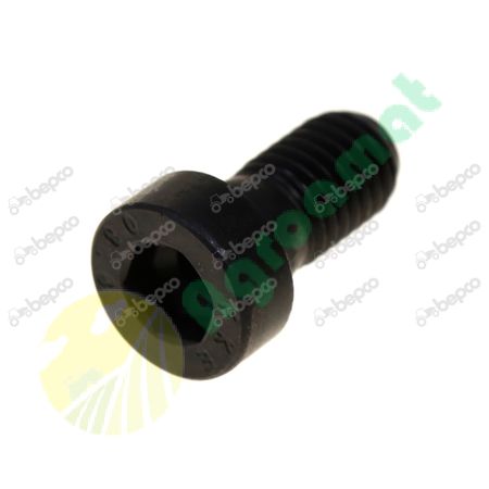 HEXAGON SOCKET HEAD CAP SCREW M10 X 1.5 - L 20 MM