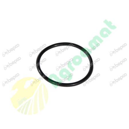 O RING 