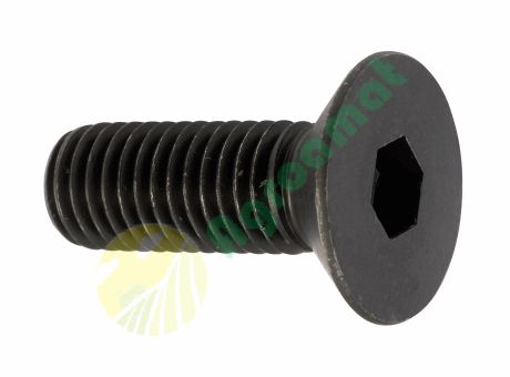 Surub cu Cap Inecat si Locas Inbus M14X55