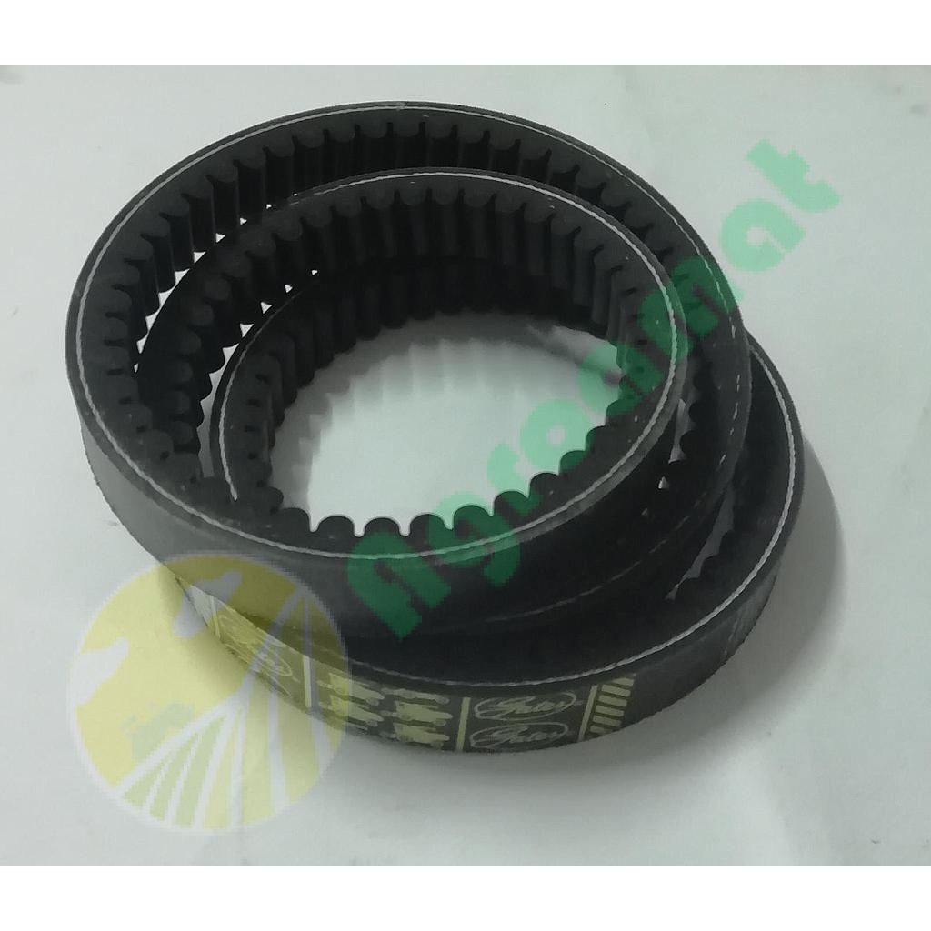 Curea Gates Danturata