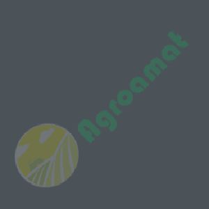 Vopsea Fendt Gri 0.75l