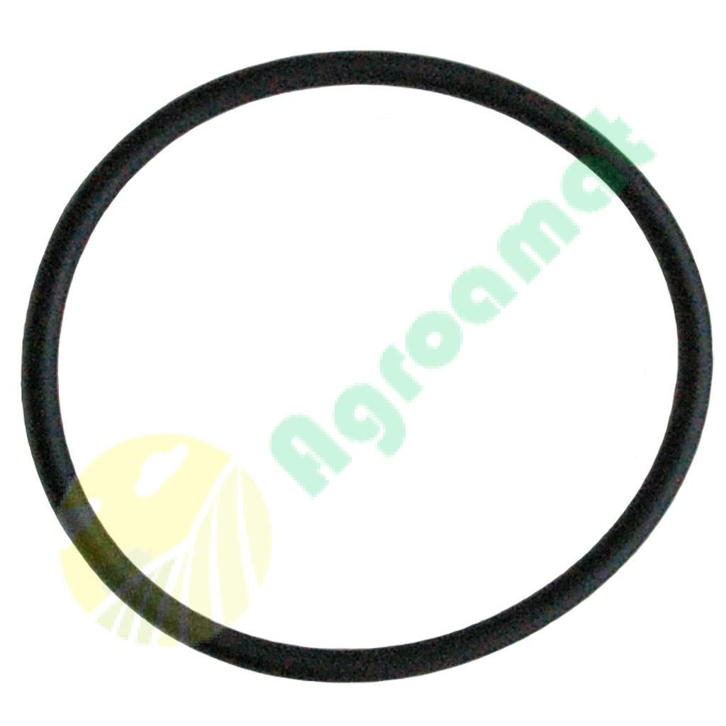 O-Ring 14472680