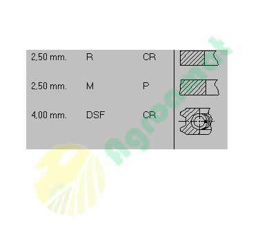 Set Segmenti Ø 100mm 1908738