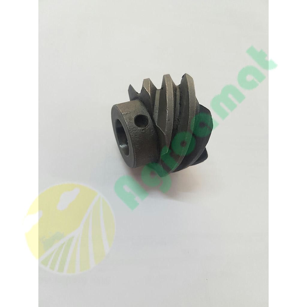 Pinion Melcat
