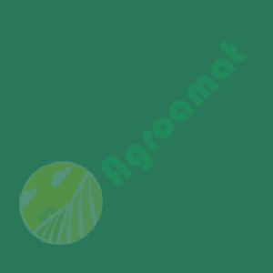 Vopsea Fend Verde Deschis 0.75l