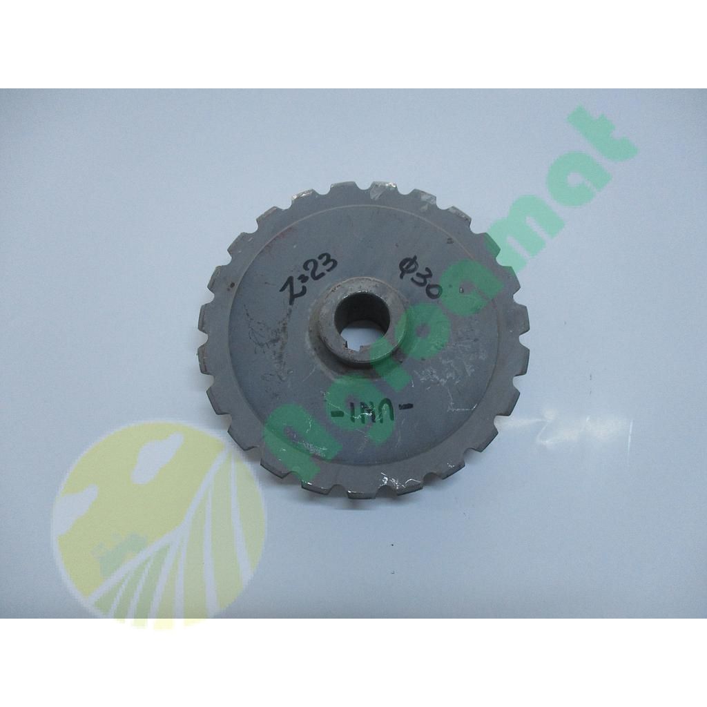 Pinion