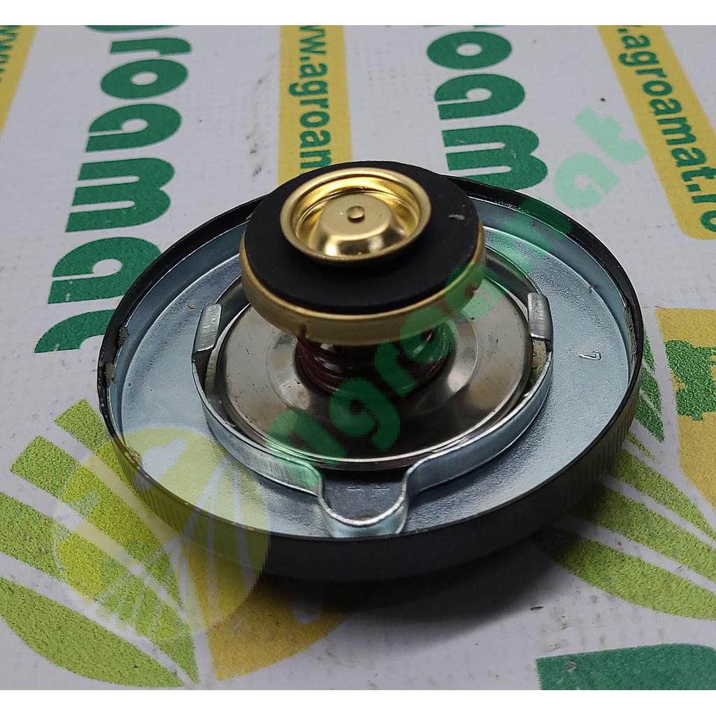 Capac Radiator AT20719