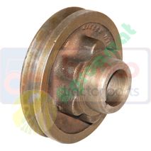 Fulie Arbore  R59312