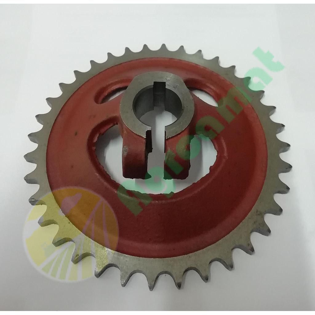 Pinion Z-36