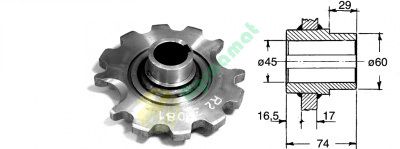 Pinion