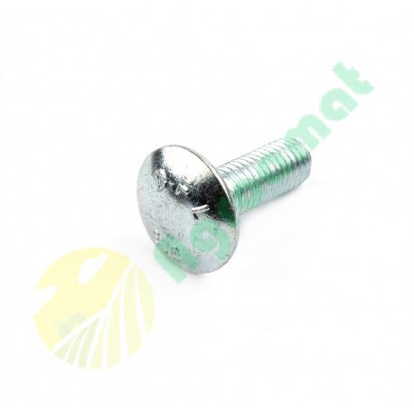 Surub 10x30 505707.0