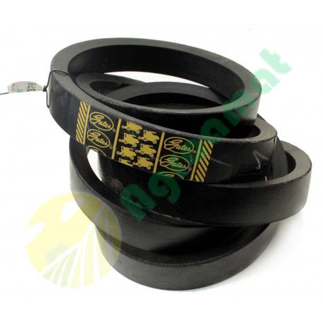 Curea Gates Z36376