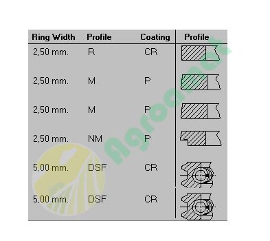 Set Segmenti Ø108  6 Seg piston