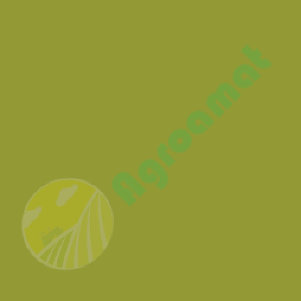 Vopsea Claas Verde 0.75l