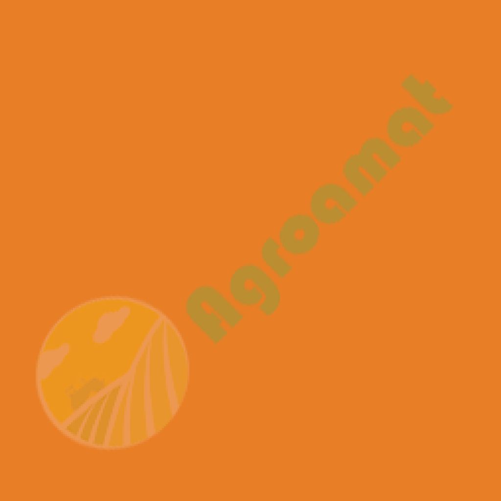 Vopsea Amazone Portocaliu 0,75l