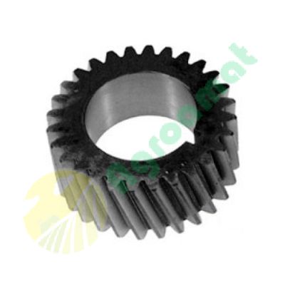 Pinion