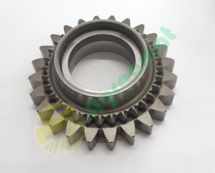 Pinion G198100080010