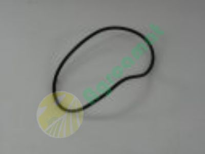 O-ring