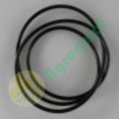O-ring