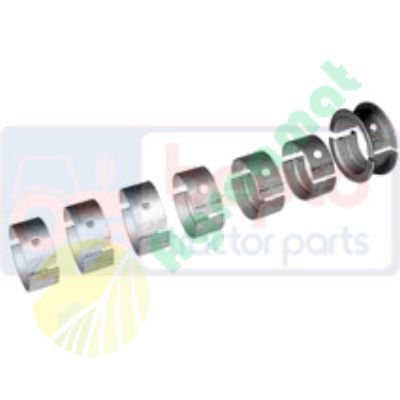 Set Cuzineti 25/2-26