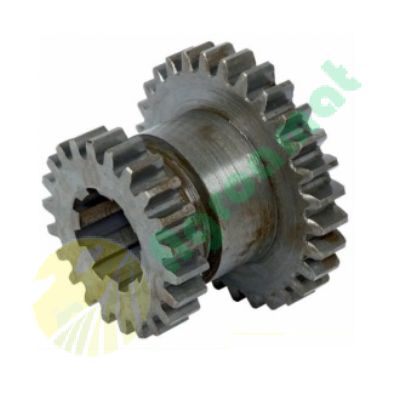 Pinion