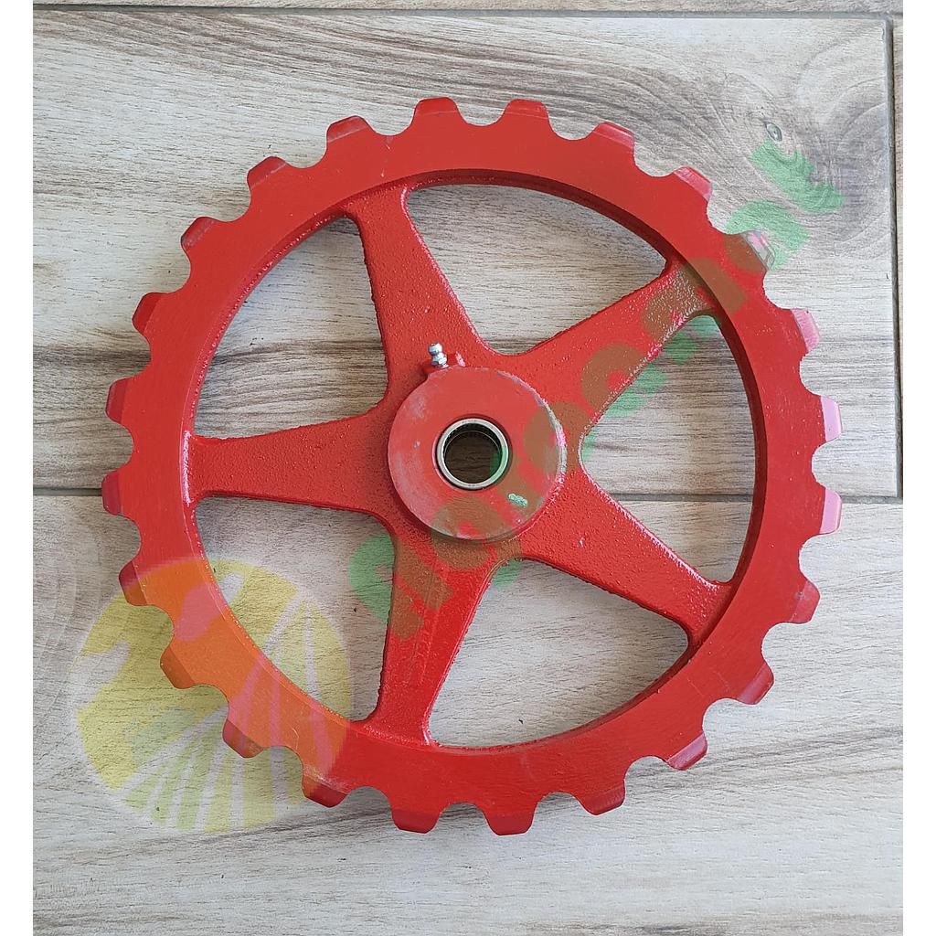 Pinion Org