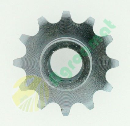 Pinion Z12