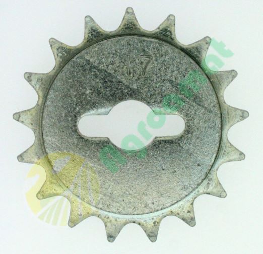Pinion Z17