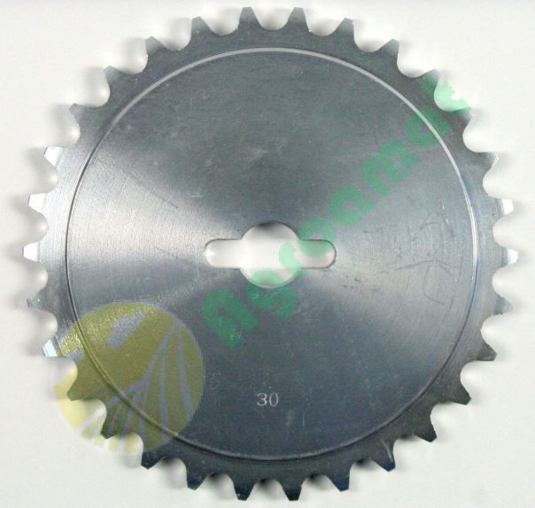 Pinion Z30