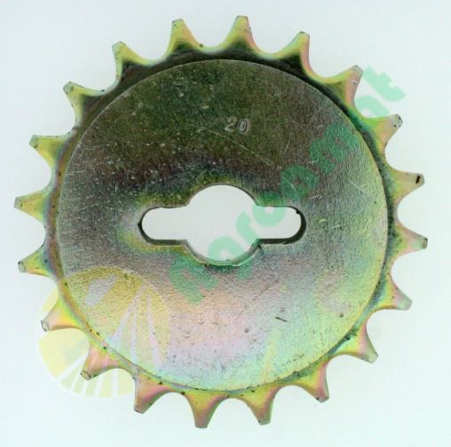 Pinion Z20
