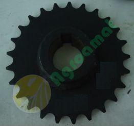 Pinion