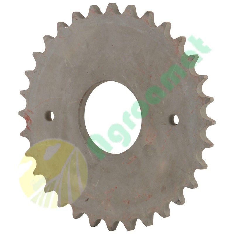 Pinion