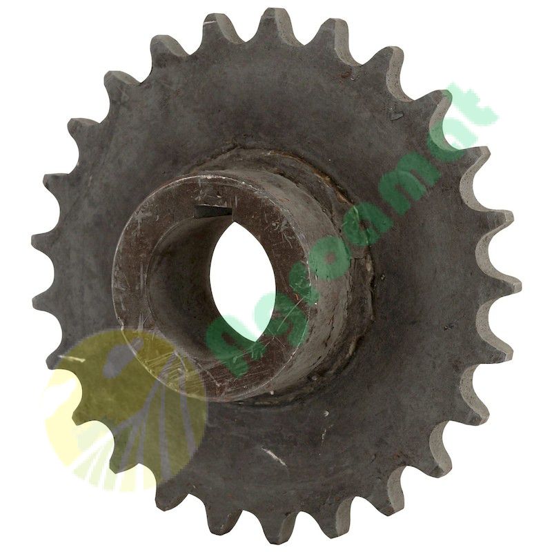 Pinion
