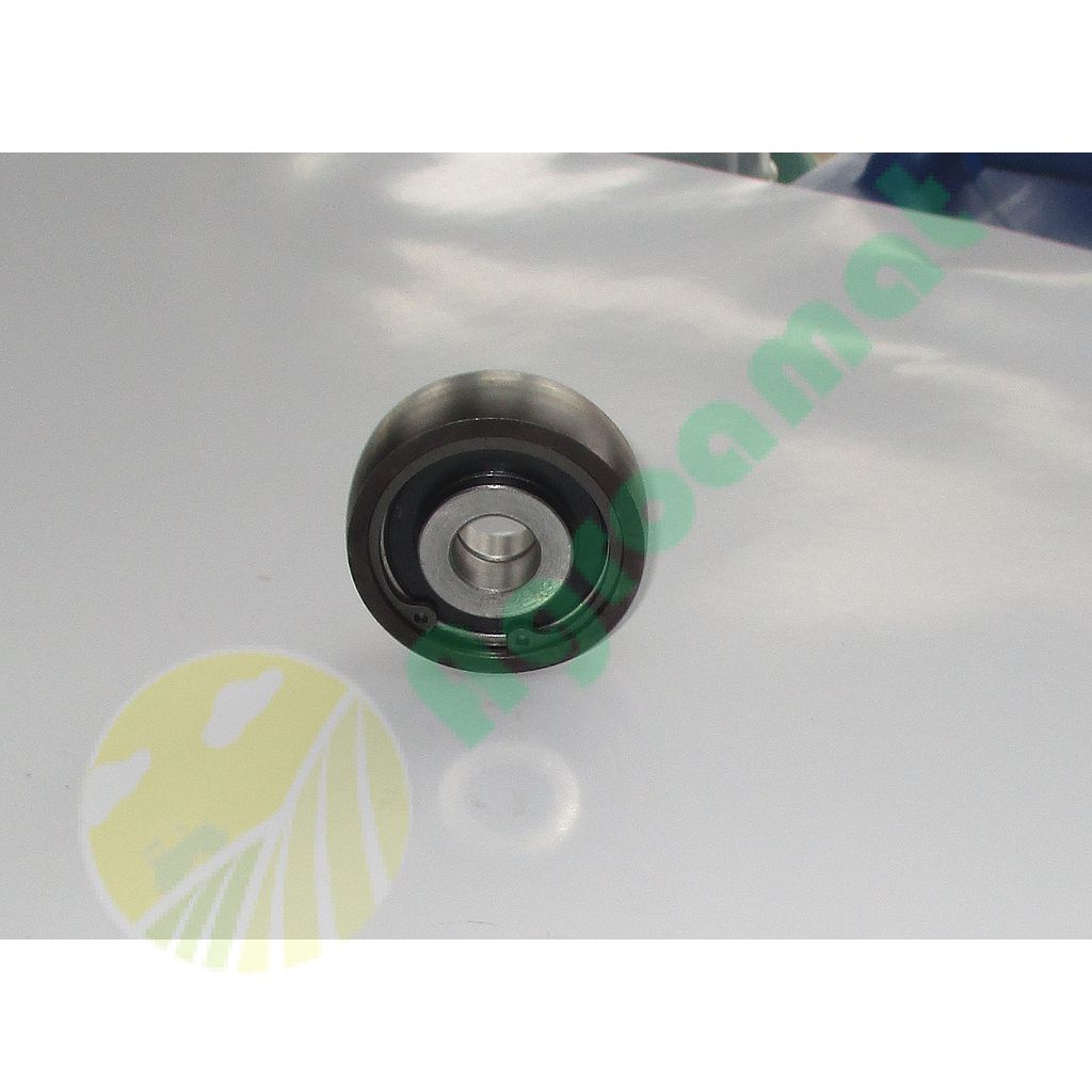 Rola piston