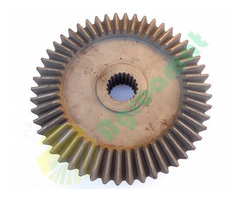 Pinion